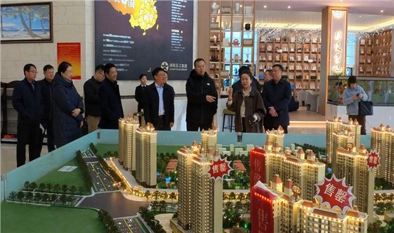 哈密市领导调研湘恒房地产项目