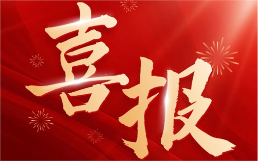 集团荣膺2025中国民营企业500强第249位，制造业民营企业500强第177位，排名较去年双双大幅提升